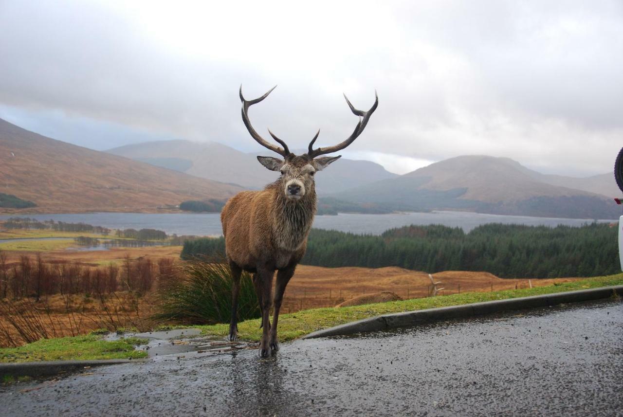 Clifton Cottage B&B Tyndrum Bagian luar foto